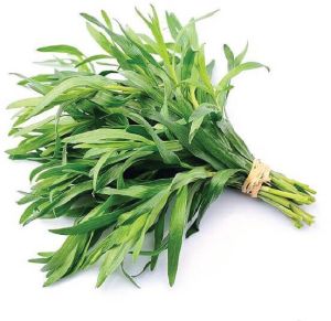 Tarragon Fresh