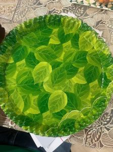 green paper plate raw material