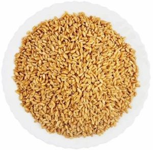 A Grade Wheat Grain