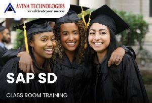 sap sd training services