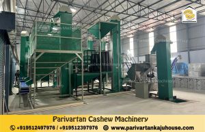 4MT Raw Cashew Nut processing plant setup