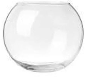 glass fish bowl