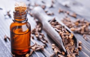 Clove Oil