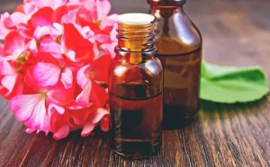 Geranium Oil