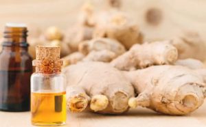 Ginger Oil