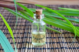 Lemongrass Oil