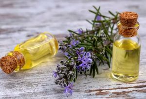 Rosemary Essential Oil