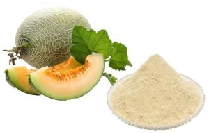 Spray Dried Muskmelon Powder