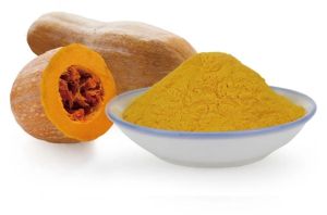 Spray Dried Pumpkin Powder