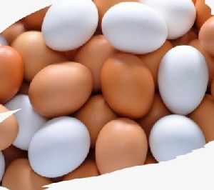 White Eggs