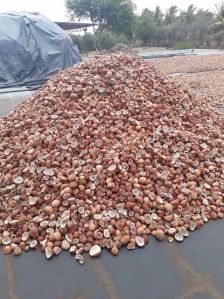 Dried Coconut