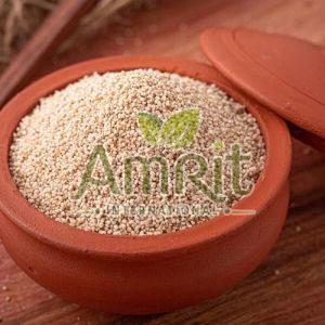 White Kodo Millet