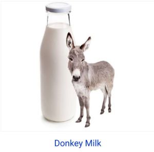 FRESH DONKEY MILK