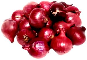 Red Onion