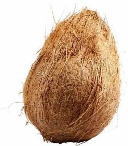 Semi Husked Coconut