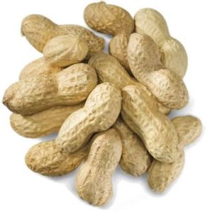 Shelled Peanuts