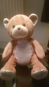 Teddy Bear Soft Toy