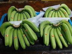 Bananas