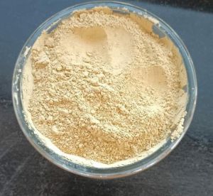 Multani Mitti