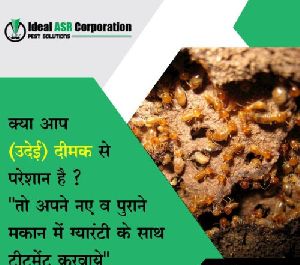 Termite Control Service in Indore