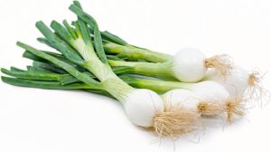 Fresh Spring Onion