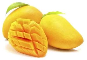 Mango Safeda