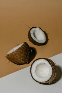 Fresh Coconut