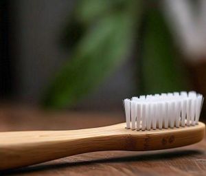 Organic Bamboo Toothbrush