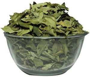 Dried Curry Leaves