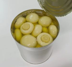 Canned Mushroom Regular