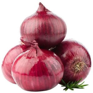 fresh red indian onion