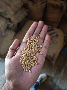 Milling Wheat