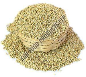 Pearl Millet