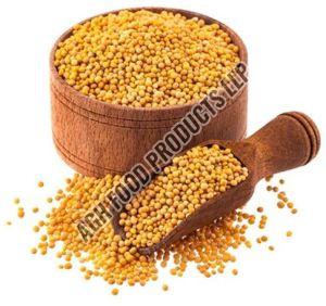 Yellow Mustard Seeds