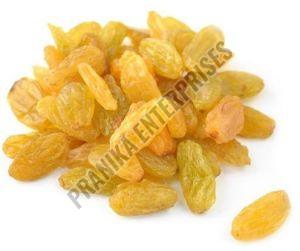 Yellow Dried Grapes