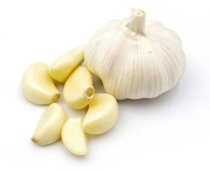 A Grade Fresh Garlic