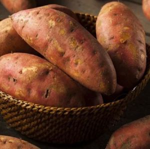 Brown A Grade Sweet Potato