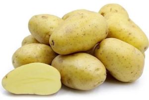 Fresh Pukhraj Potato