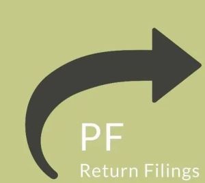 PF Return Filing Services