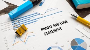 Profit and Loss Statement Services