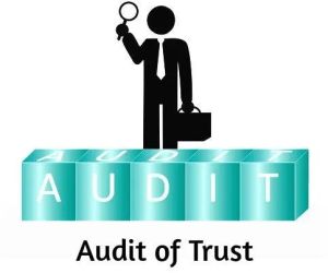 trust audit services