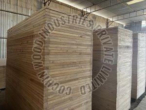 Wooden Flush Door