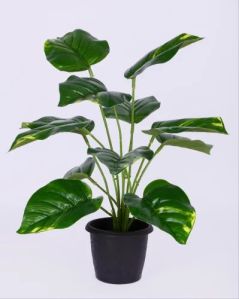 Plastic Artificial Money Plant