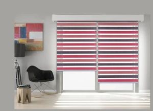 Zebra Window Blinds