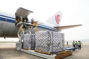 domestic air cargo service