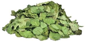 Dried Moringa Leaves