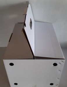 White Corrugated Box