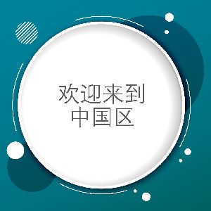 chinese translation services