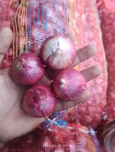 Onions