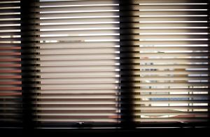 Window Blinds